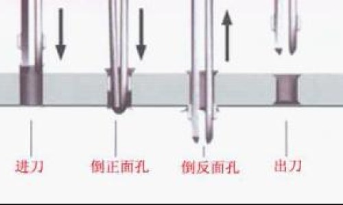 【樟树药都有哪些出名的药】樟树的药用功效与用法 - 药樟树功效网