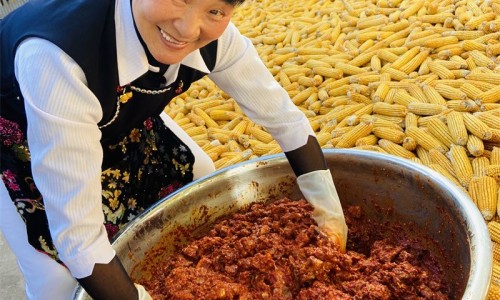 樟树药俗视频介绍-【樟树药都有哪些出名的药】樟树的药用功效与用法 - 药樟树功效网
