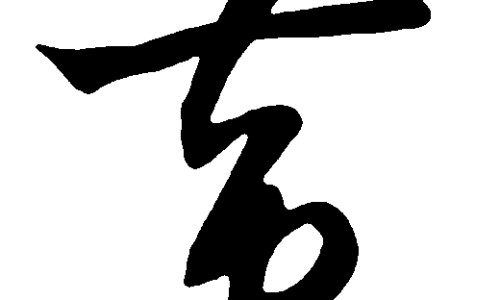 【樟树药都有哪些出名的药】樟树的药用功效与用法 - 药樟树功效网