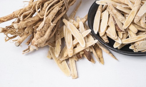中草药樟树功效-【樟树药都有哪些出名的药】樟树的药用功效与用法 - 药樟树功效网