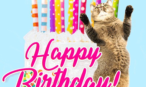 樟树药俗视频介绍-【樟树药都有哪些出名的药】樟树的药用功效与用法 - 药樟树功效网